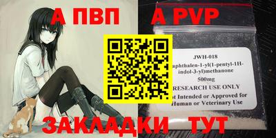 бошки Кингисепп