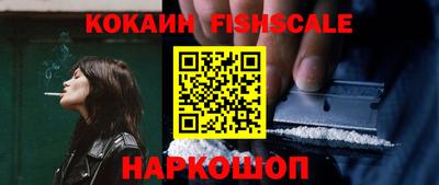 бошки Кингисепп