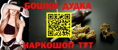 бошки Кингисепп