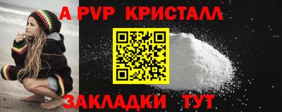 бошки Кингисепп